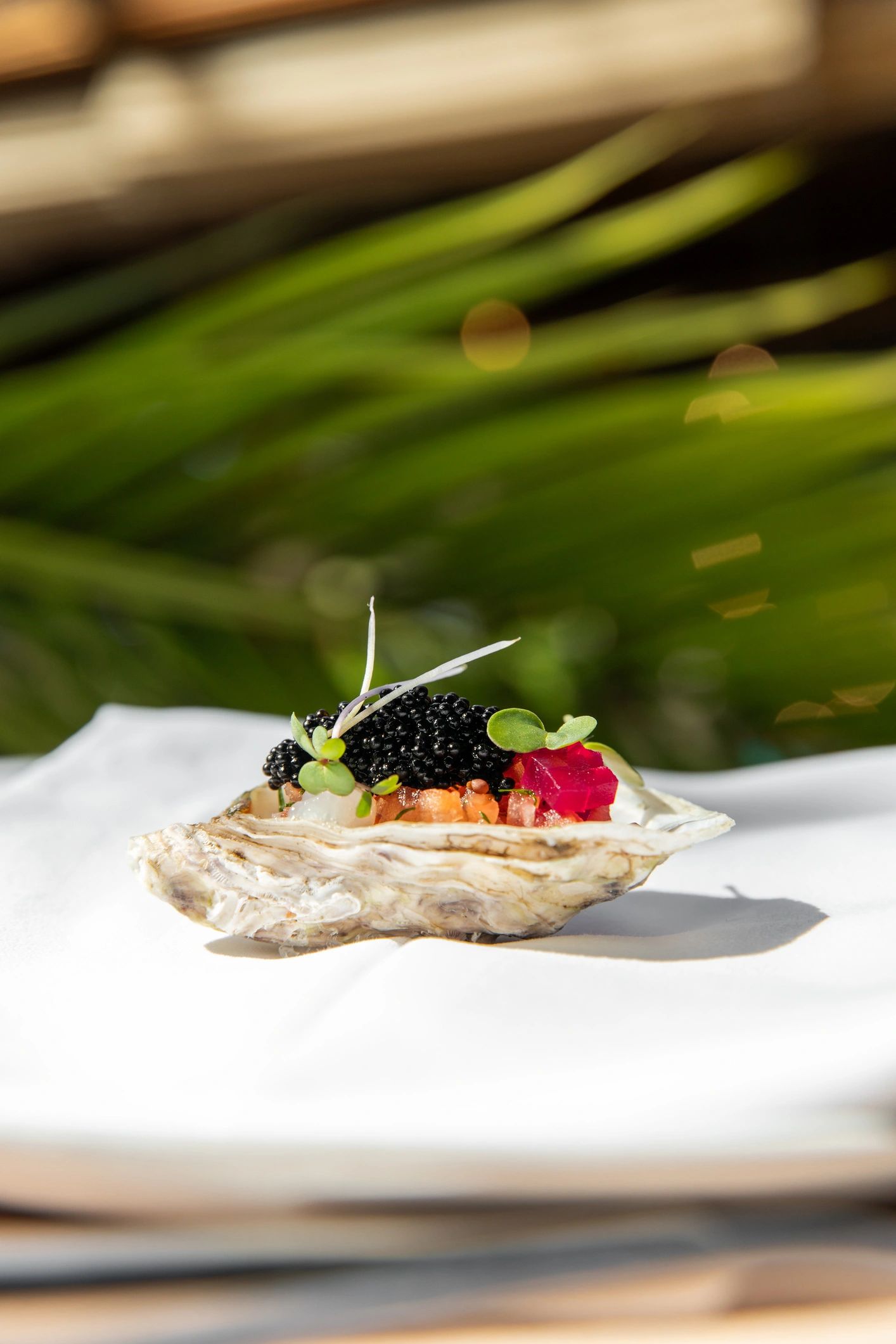 premium food photography